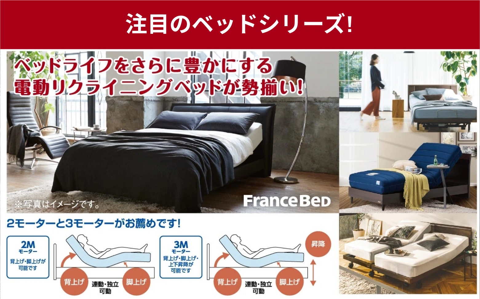 注目のベッドシリーズ!