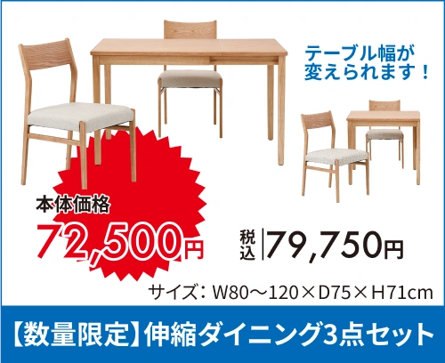 【数量限定】ダイニング4点セット