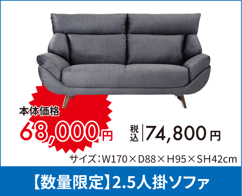【数量限定】2人掛ソファ